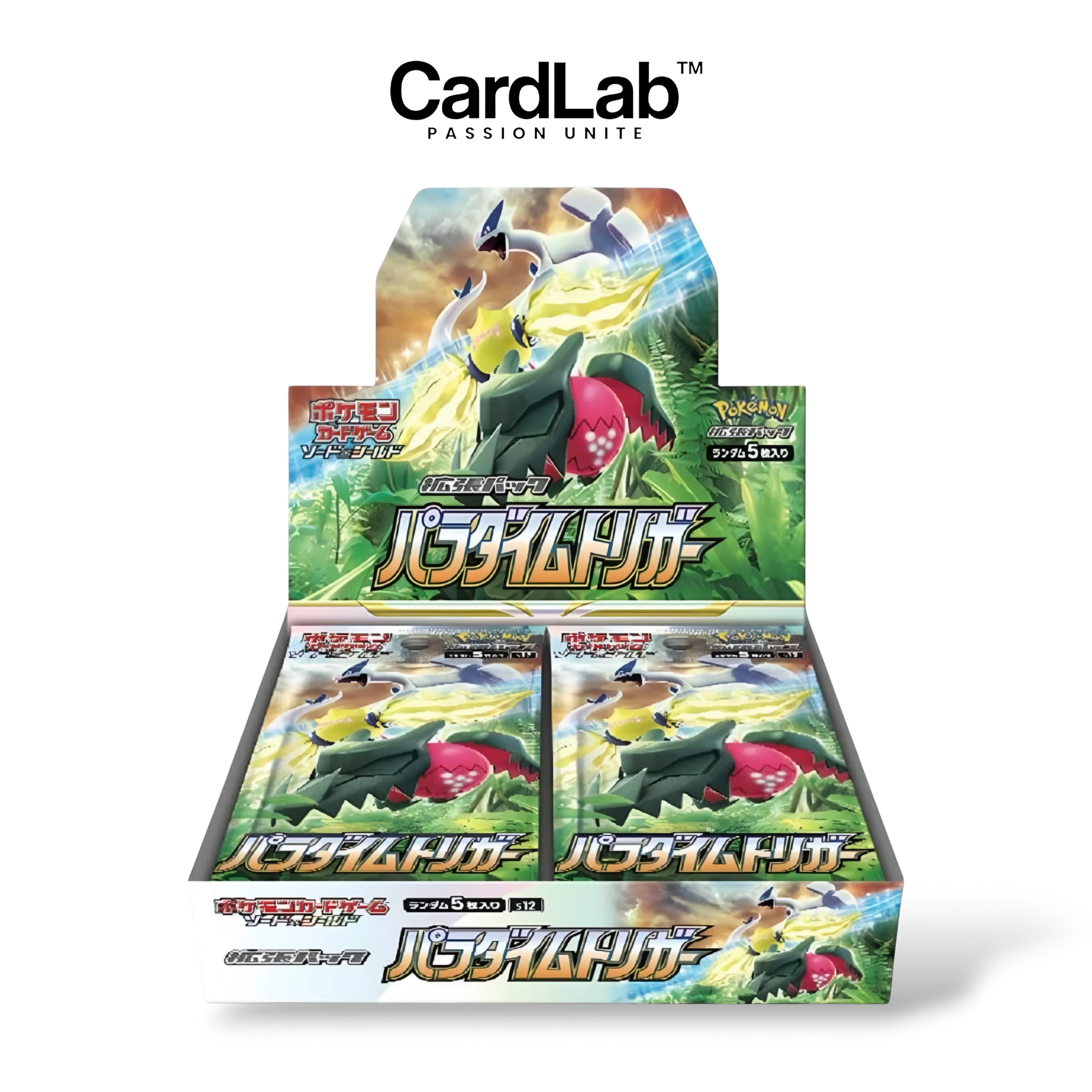 Display S12 Paradigm Trigger