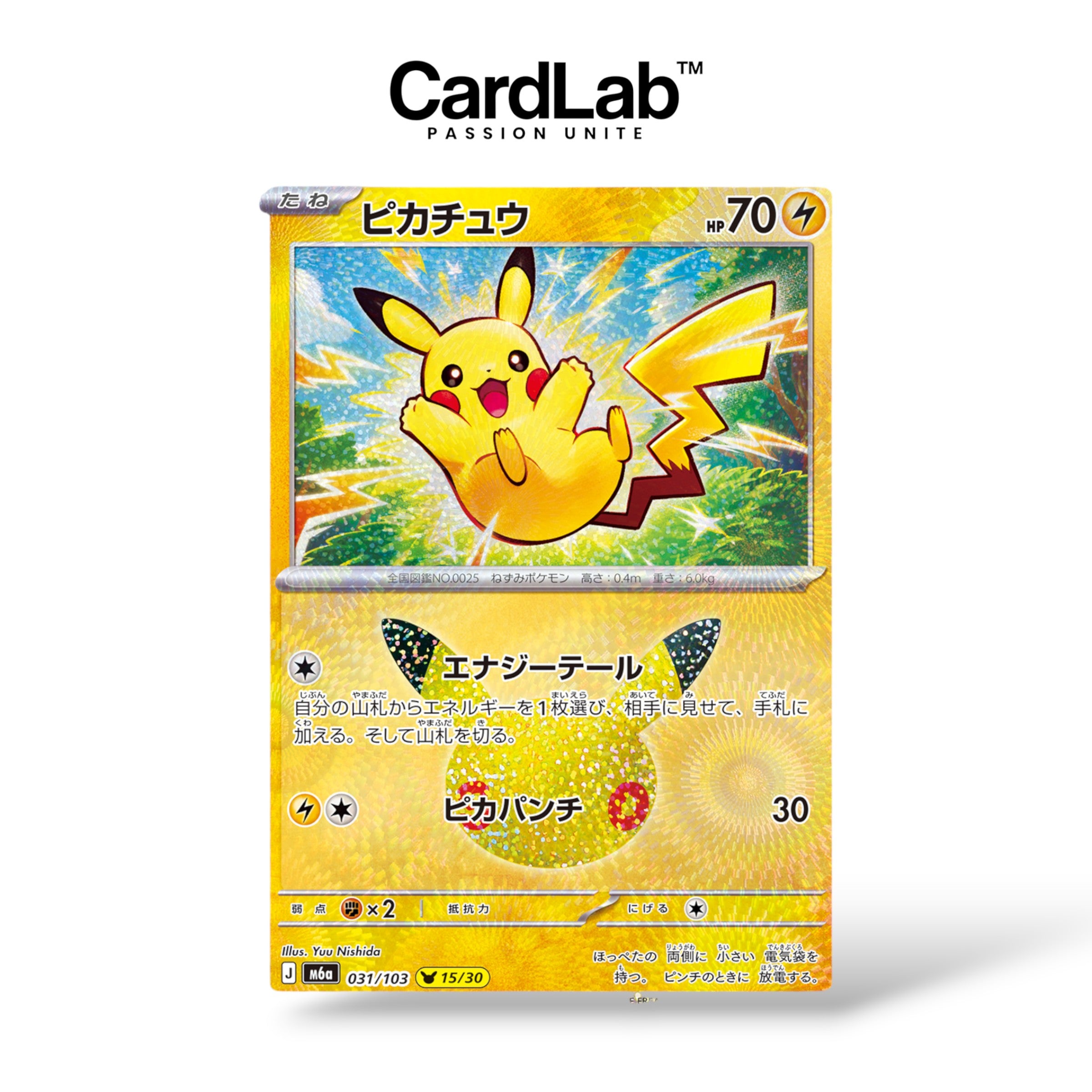 Display Pokémon 30th Celebration - M6a