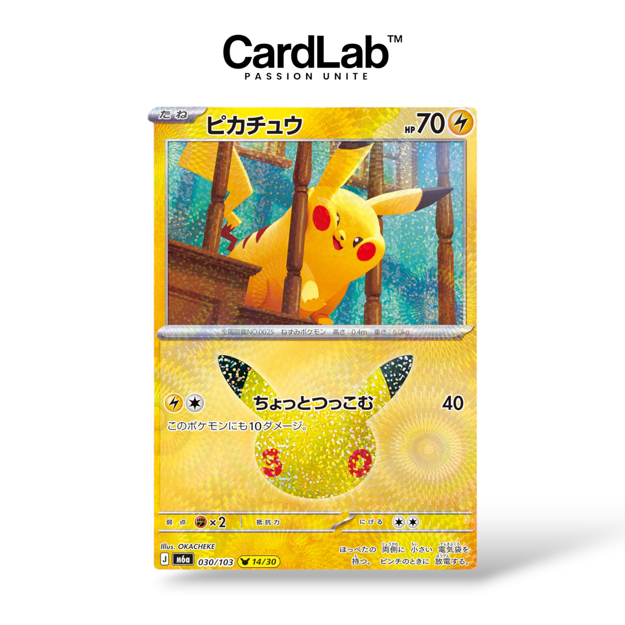 Display Pokémon 30th Celebration - M6a
