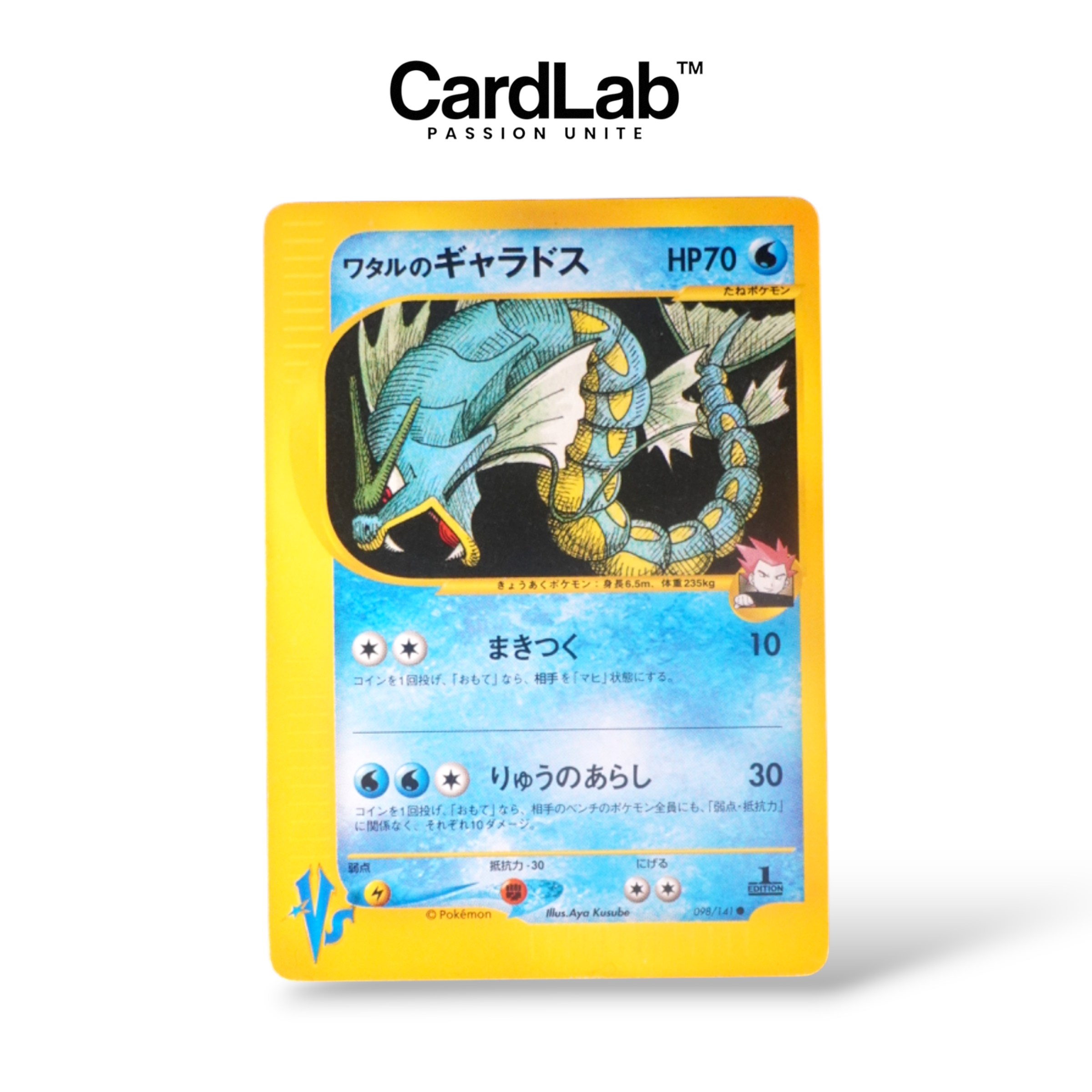 Léviator de Peter / Gyrados VS 1st 098/141