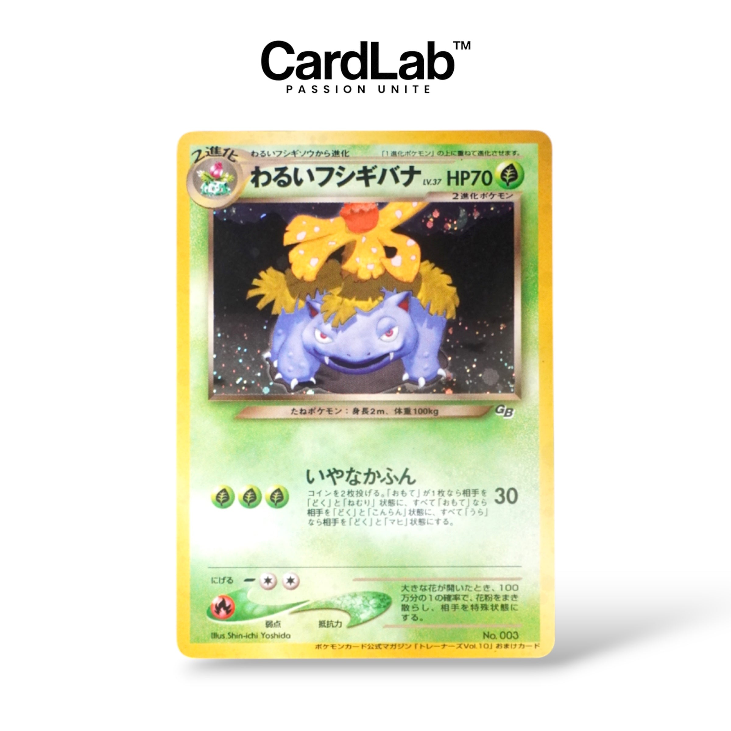 Florizarre Obscur GameBoy Promo