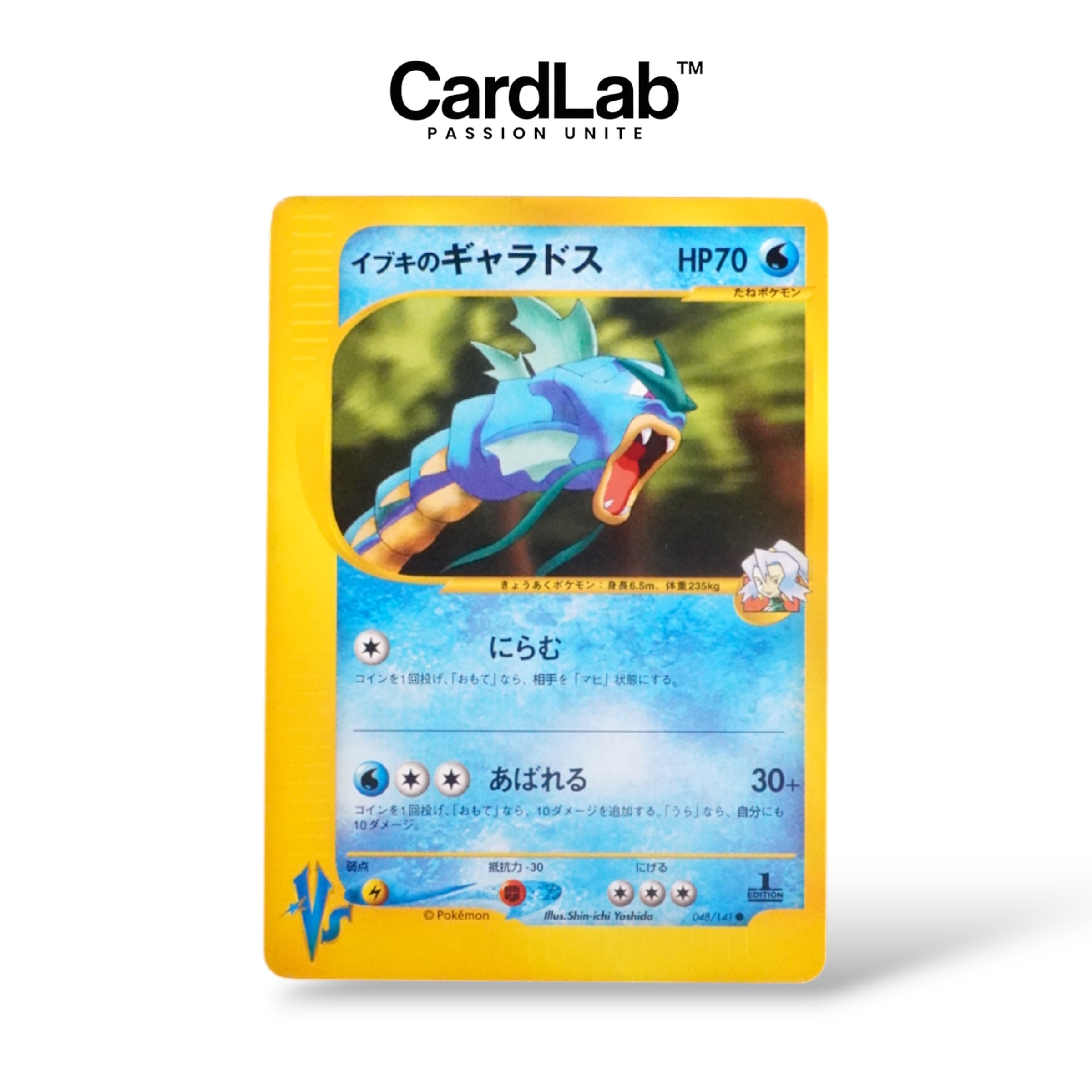 Léviator / Gyrados VS 1st 048/141