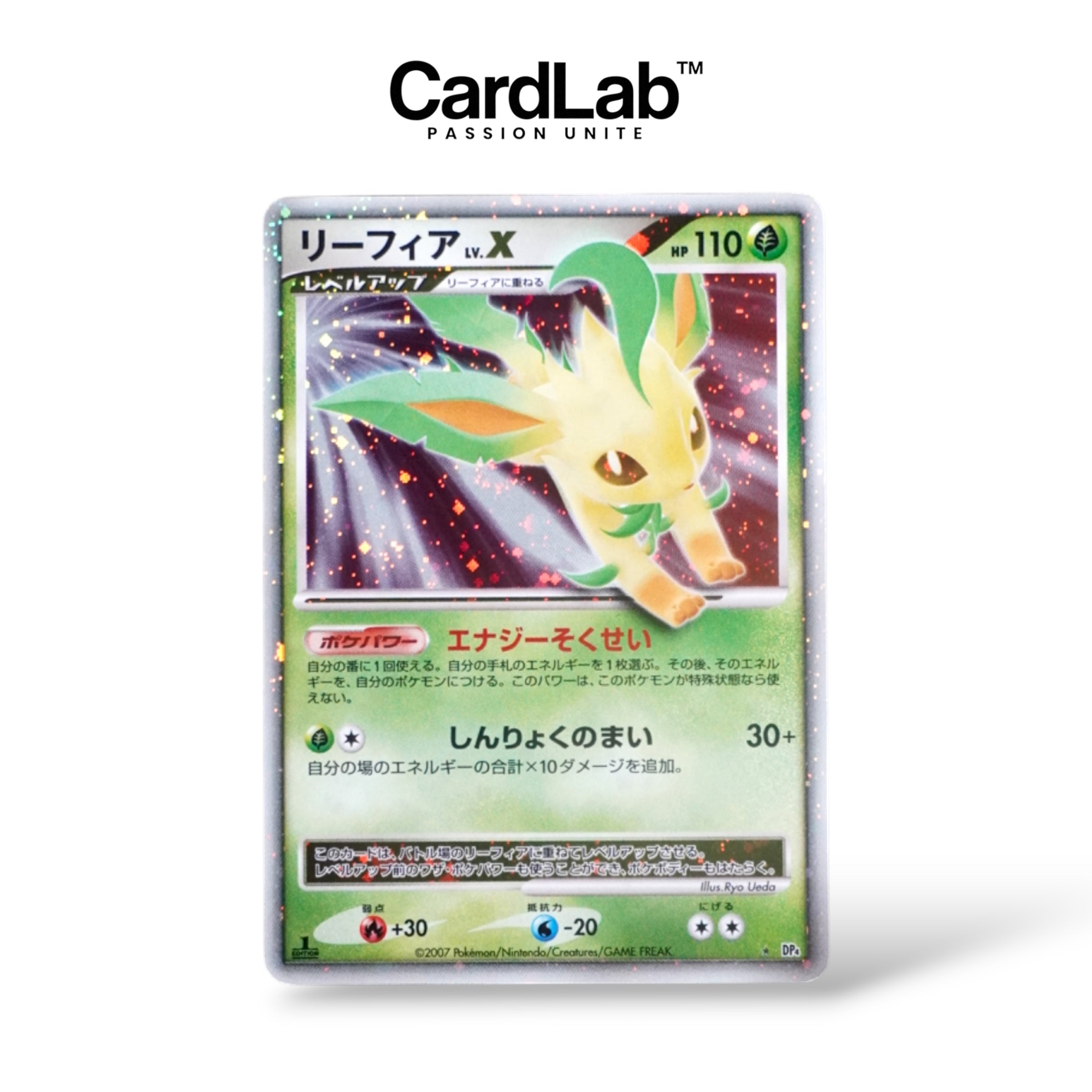 Phylali / Leafeon X 1st