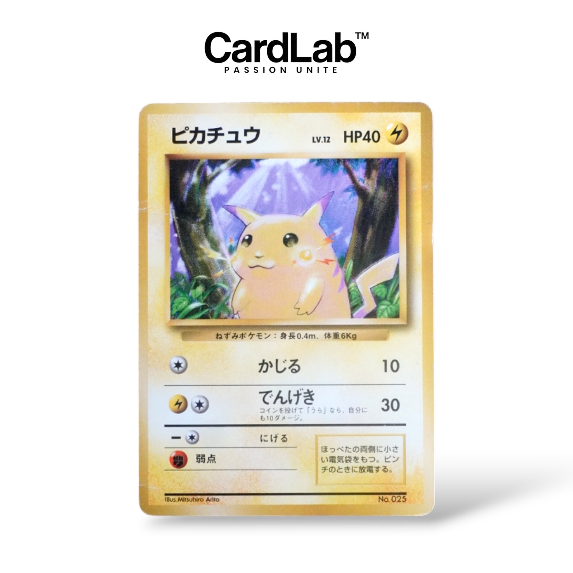 Pikachu No Rarity