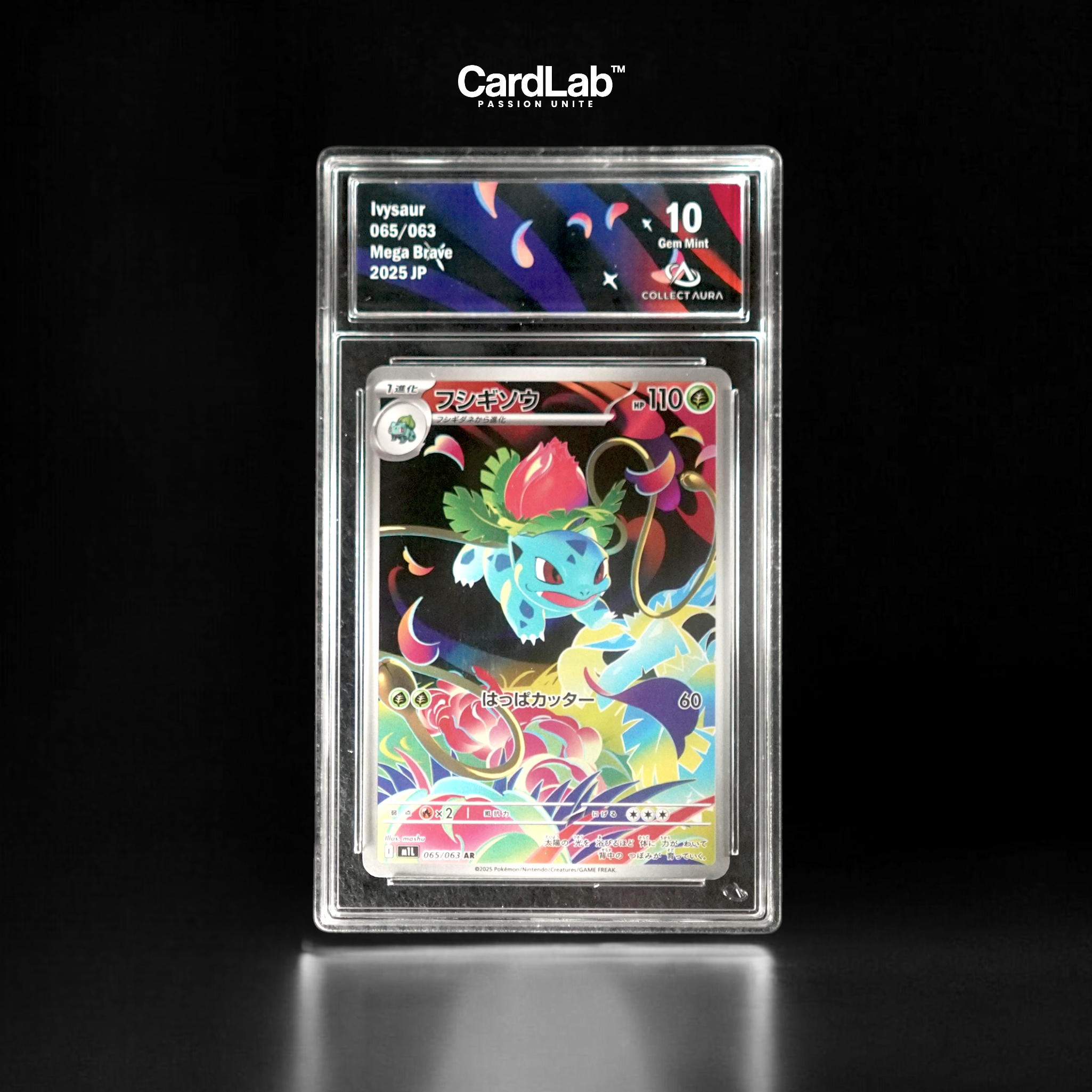 Herbizarre / Ivysaur AR 065/063 Collect Aura