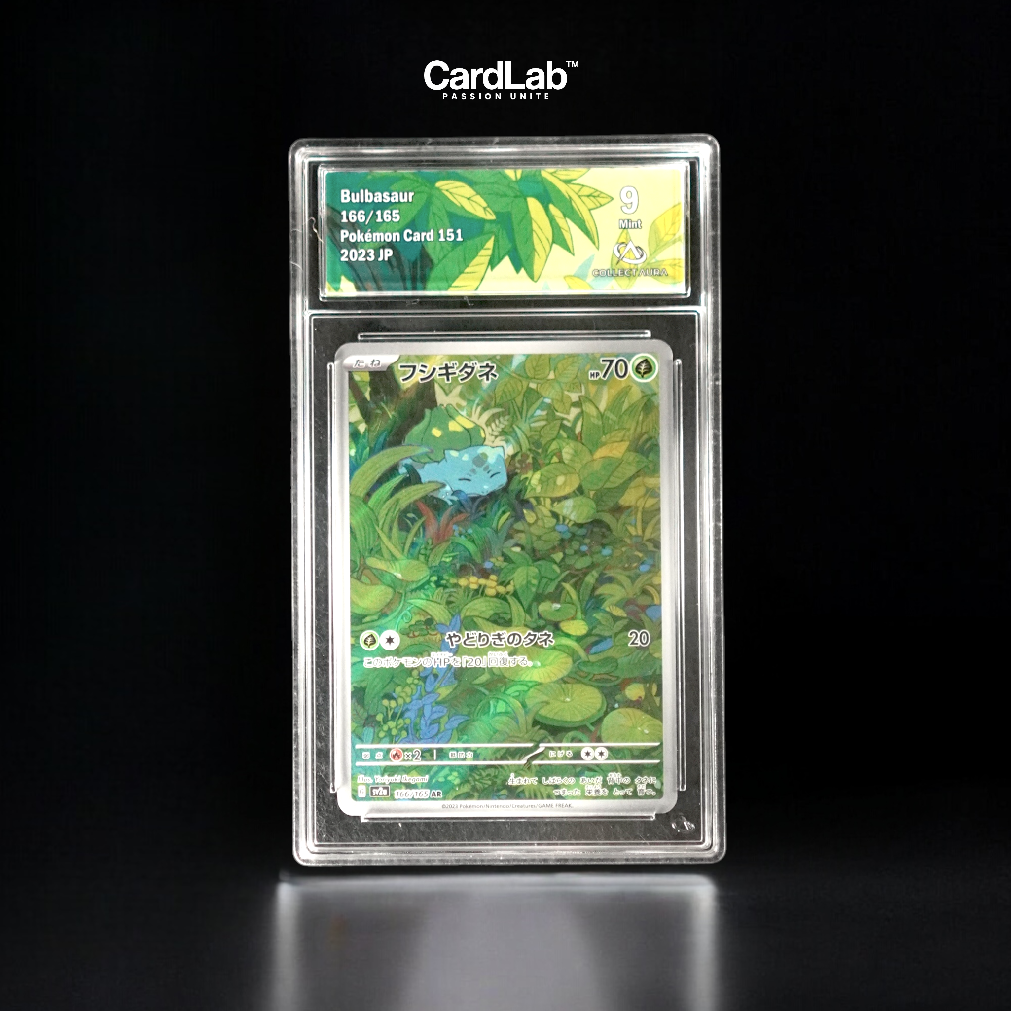 Bulbizarre / Bulbasaur AR 166/165 Collect Aura