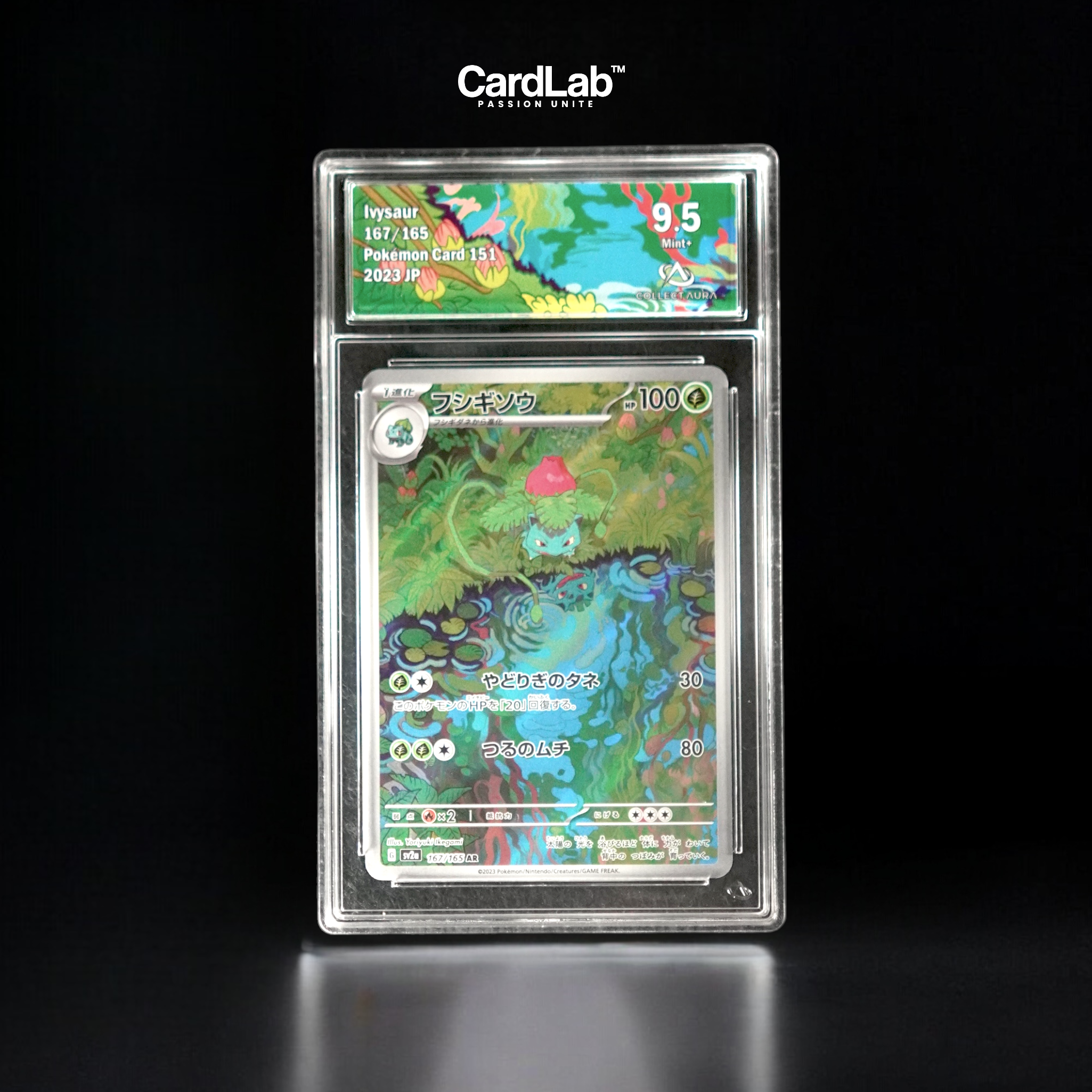 Herbizarre / Ivysaur AR 167/165 Collect Aura