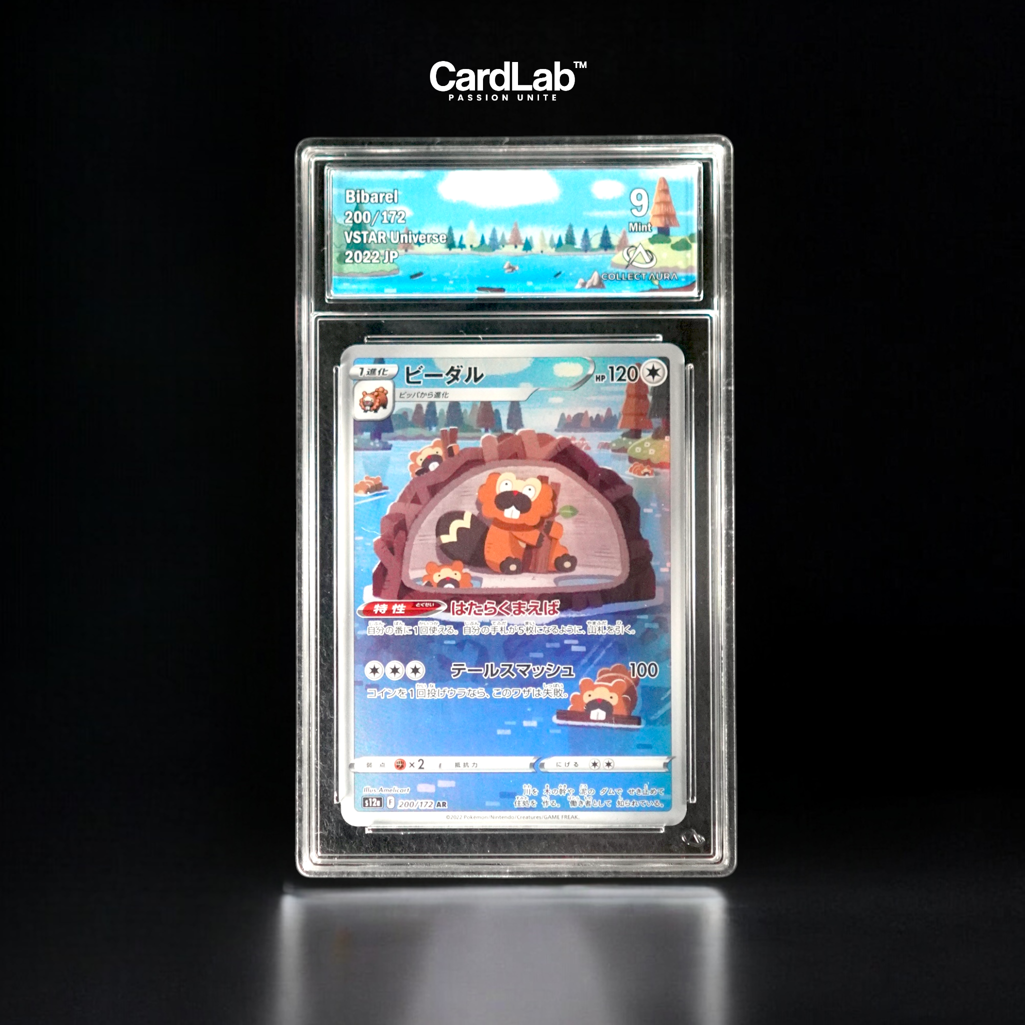 Castorno / Bibarel AR 200/172 Collect Aura