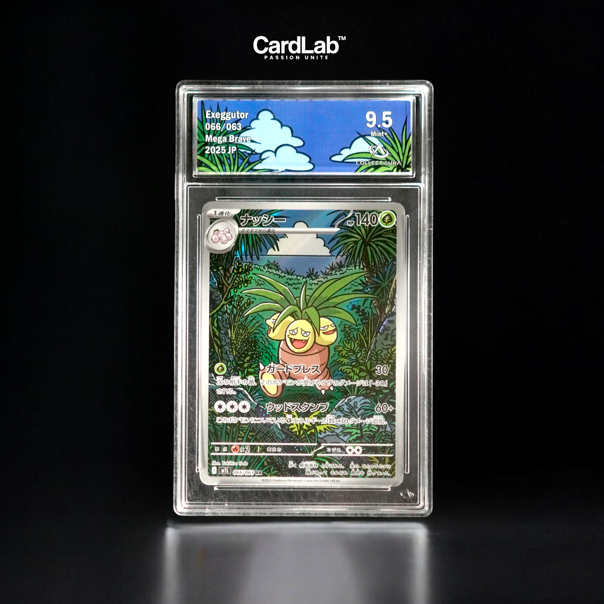Noadkoko / Exeggutor AR 066/063 Collect Aura