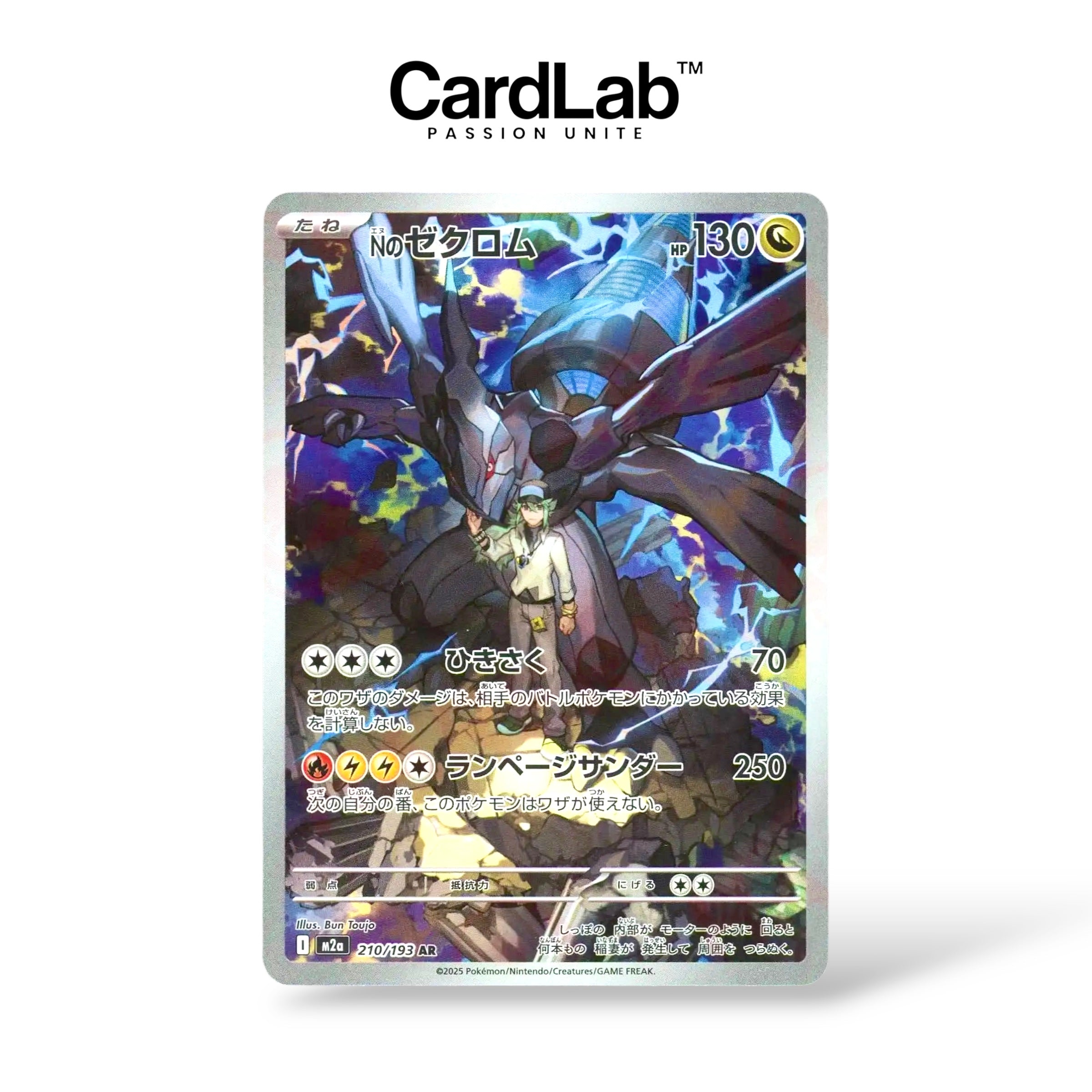 N's Zekrom AR 210/193