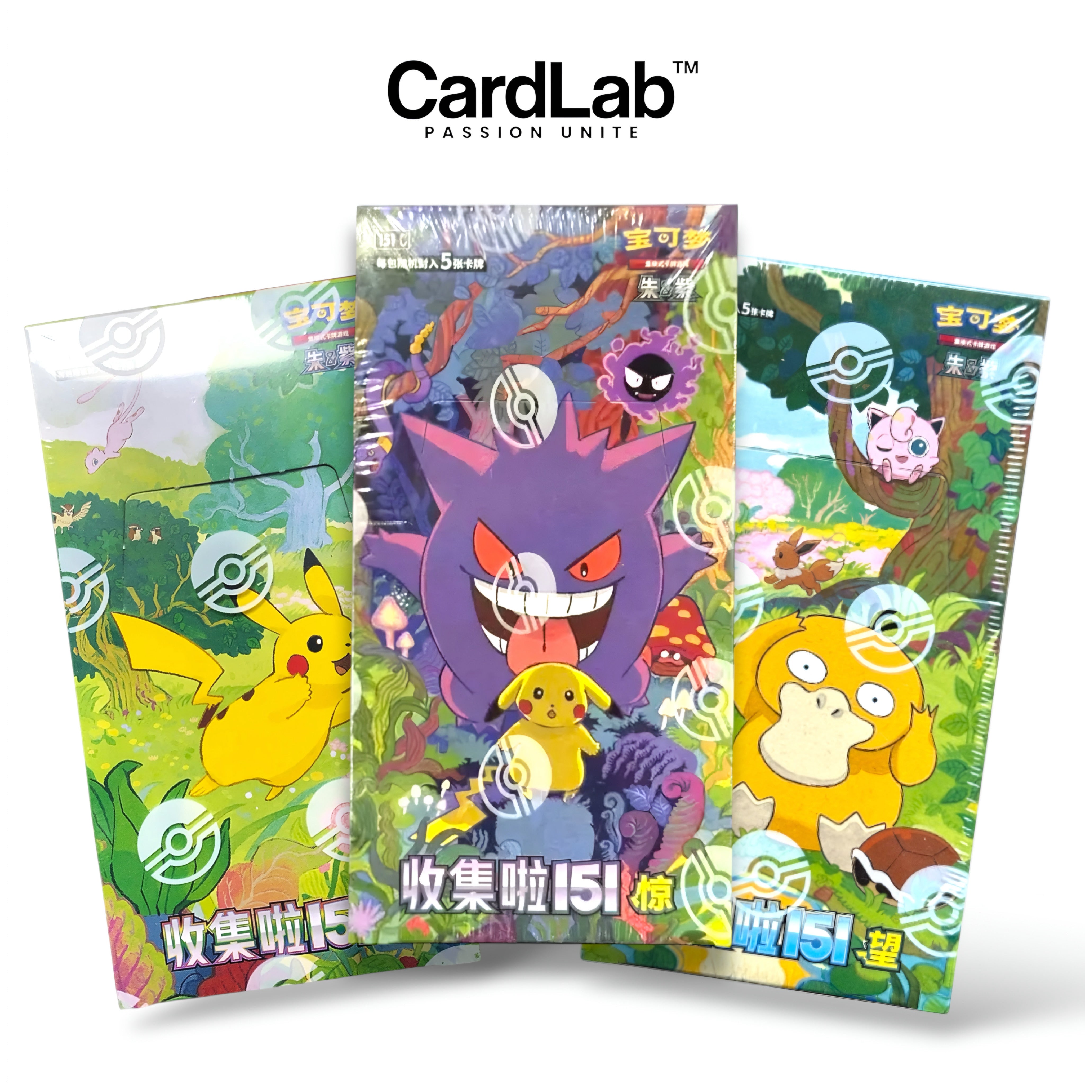 Bundle Display Artset Collect 151 Vol.1 + 2+ 3