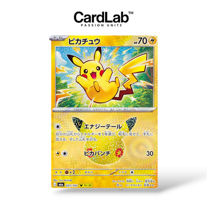 Display Pokémon 30th Celebration - M6a