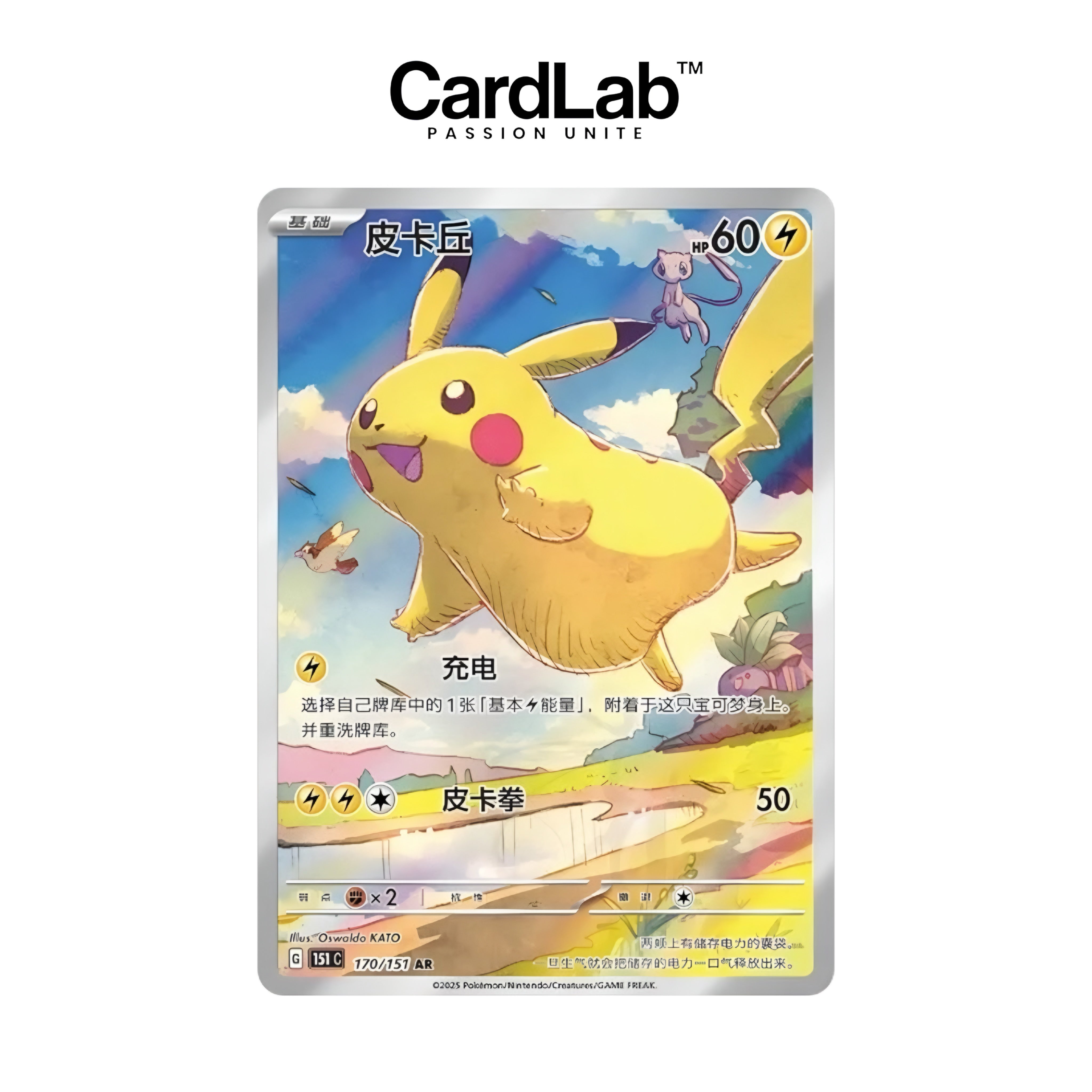 Display x1 Slim Collect 151 Journey - Chinois Simplifié [𝗣𝗿𝗶𝘅 𝗣𝗿𝗲́𝗳𝗲́𝗿𝗲𝗻𝘁𝗶𝗲𝗹𝘀]