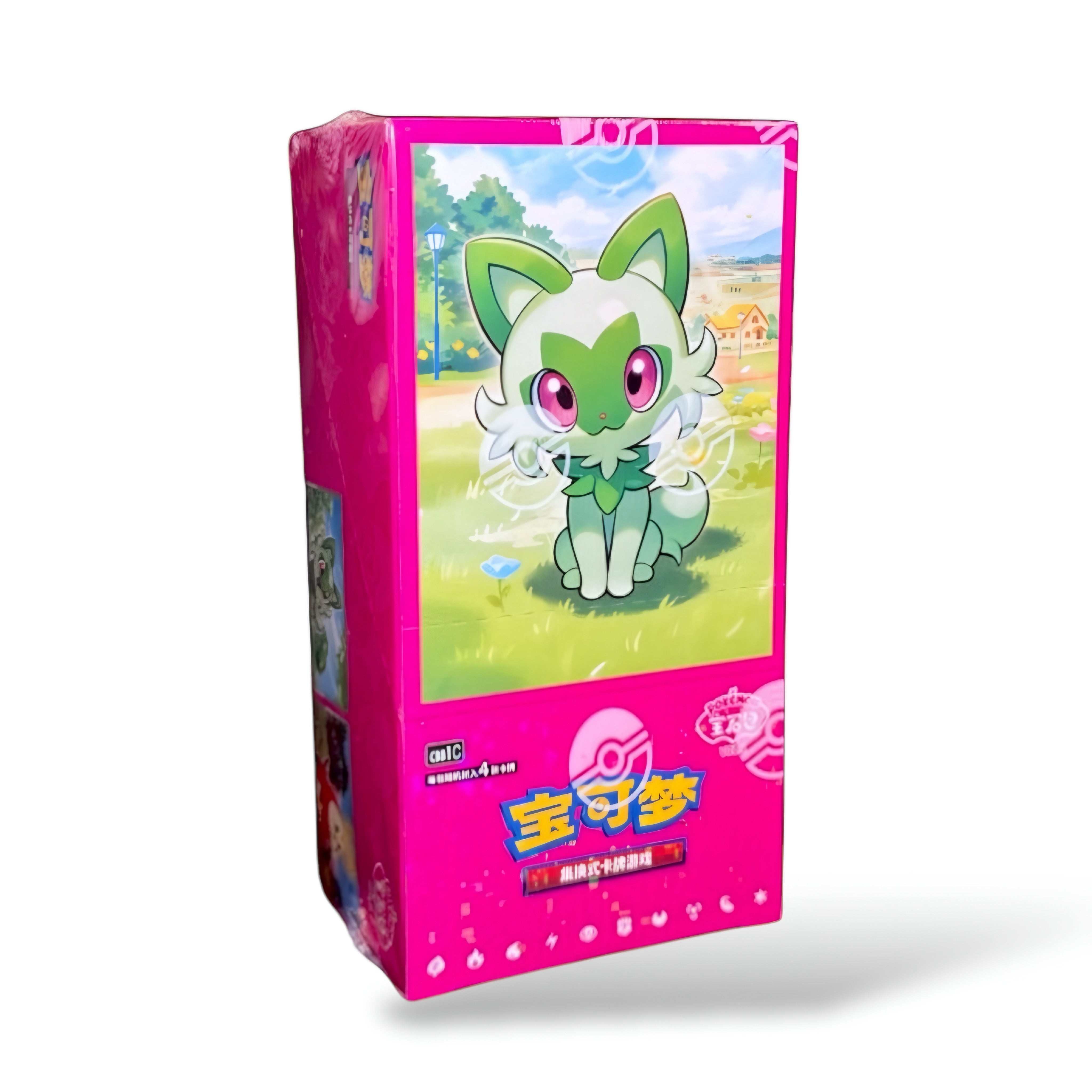 [𝗣𝗥𝗘́𝗖𝗢𝗠𝗠𝗔𝗡𝗗𝗘] Pokémon GYM Pack Special Set - Simplified Chinese 
