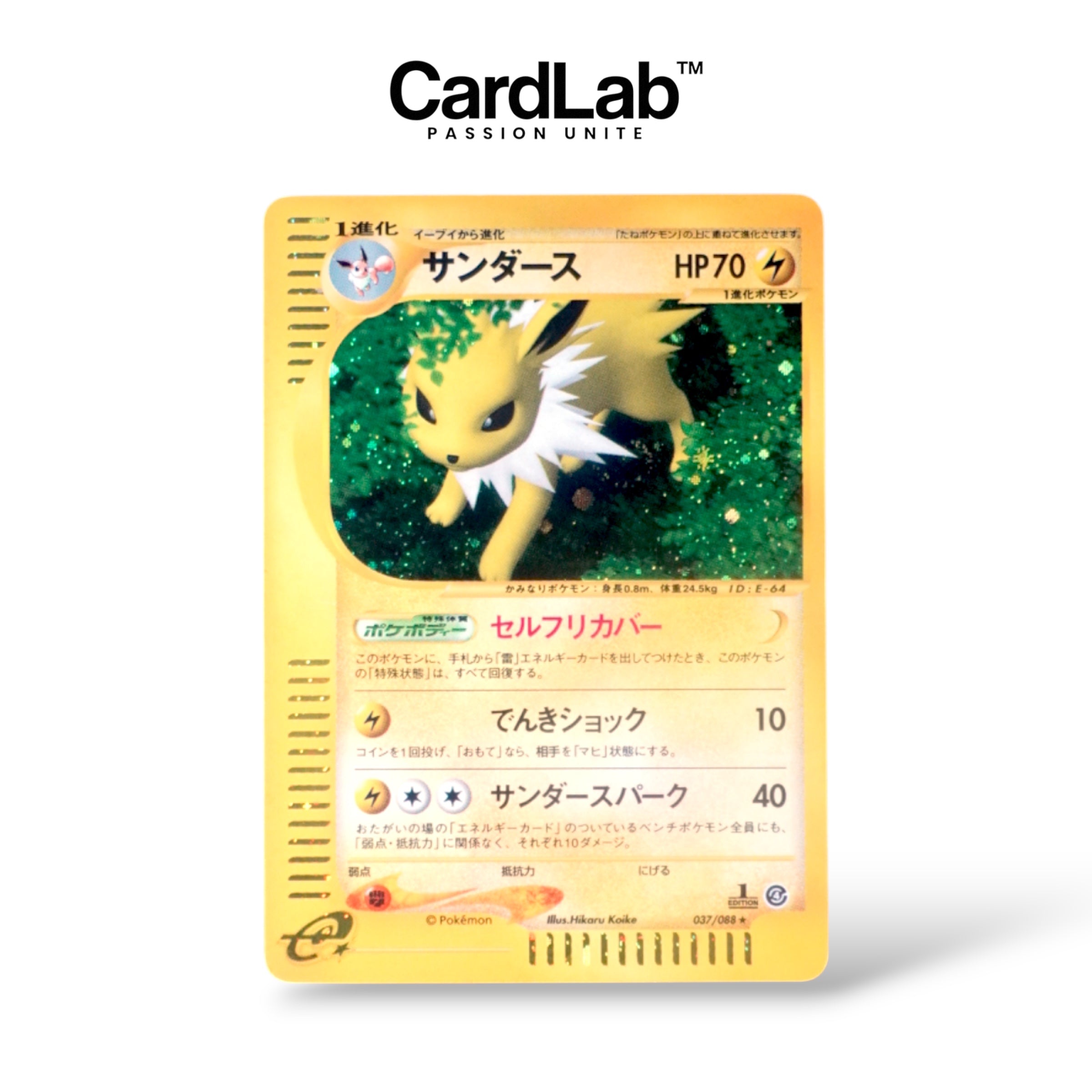 Voltali / Jolteon Holo 1st 037/088