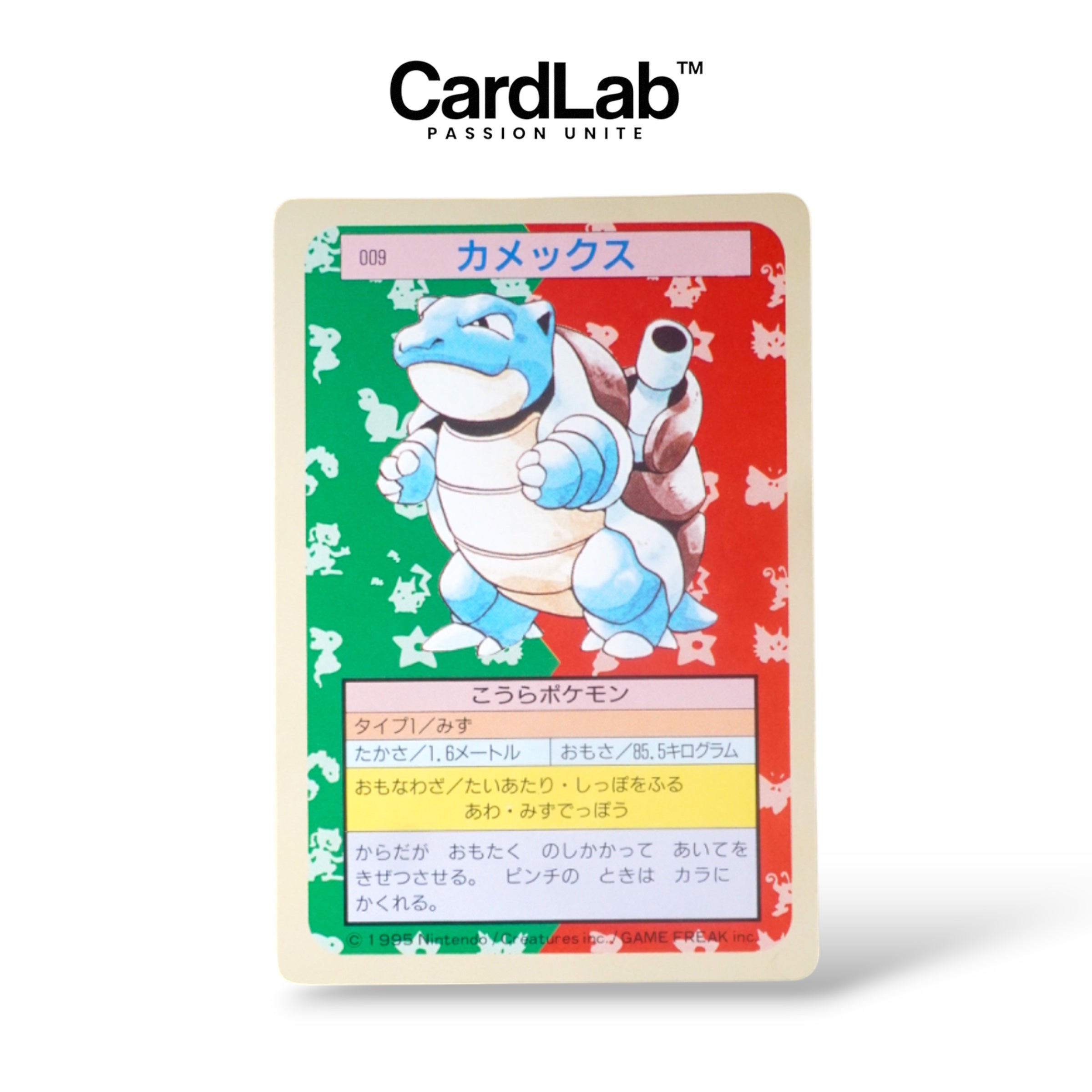 Tortank / Blastoise Topsun Green Back