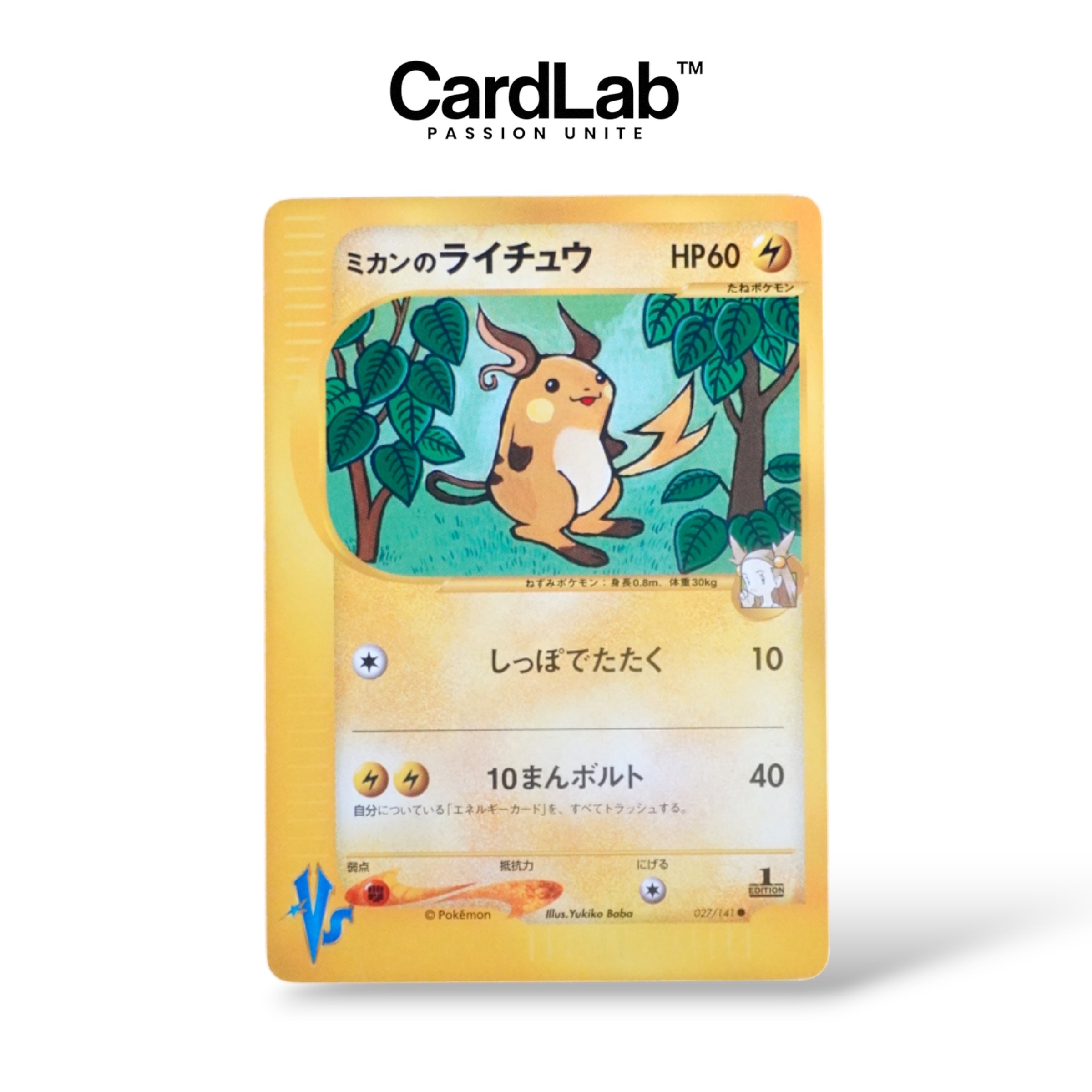 Raichu VS 1st 027/141