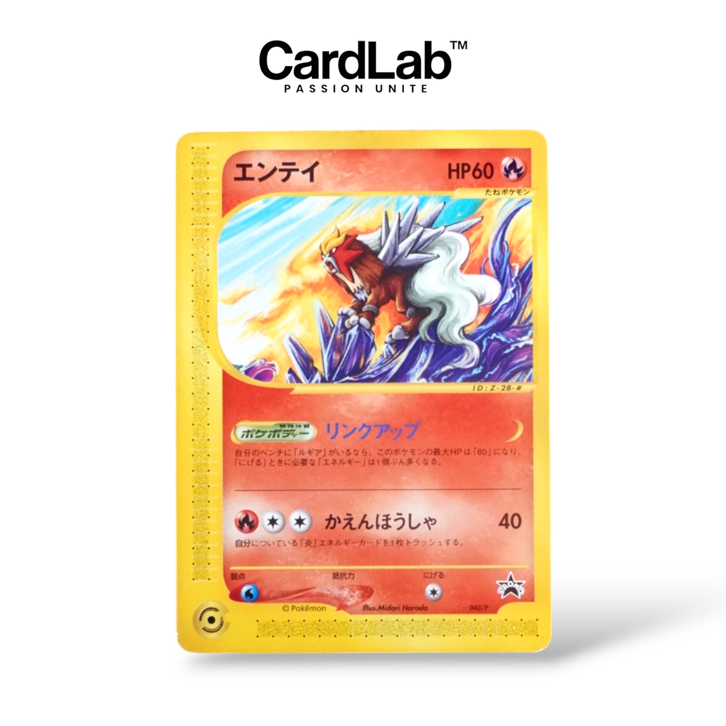 Entei JR Rally 043/P