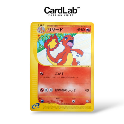 Reptincel / Herbizarre / Carabaffe Trainer Magazine Vol.17