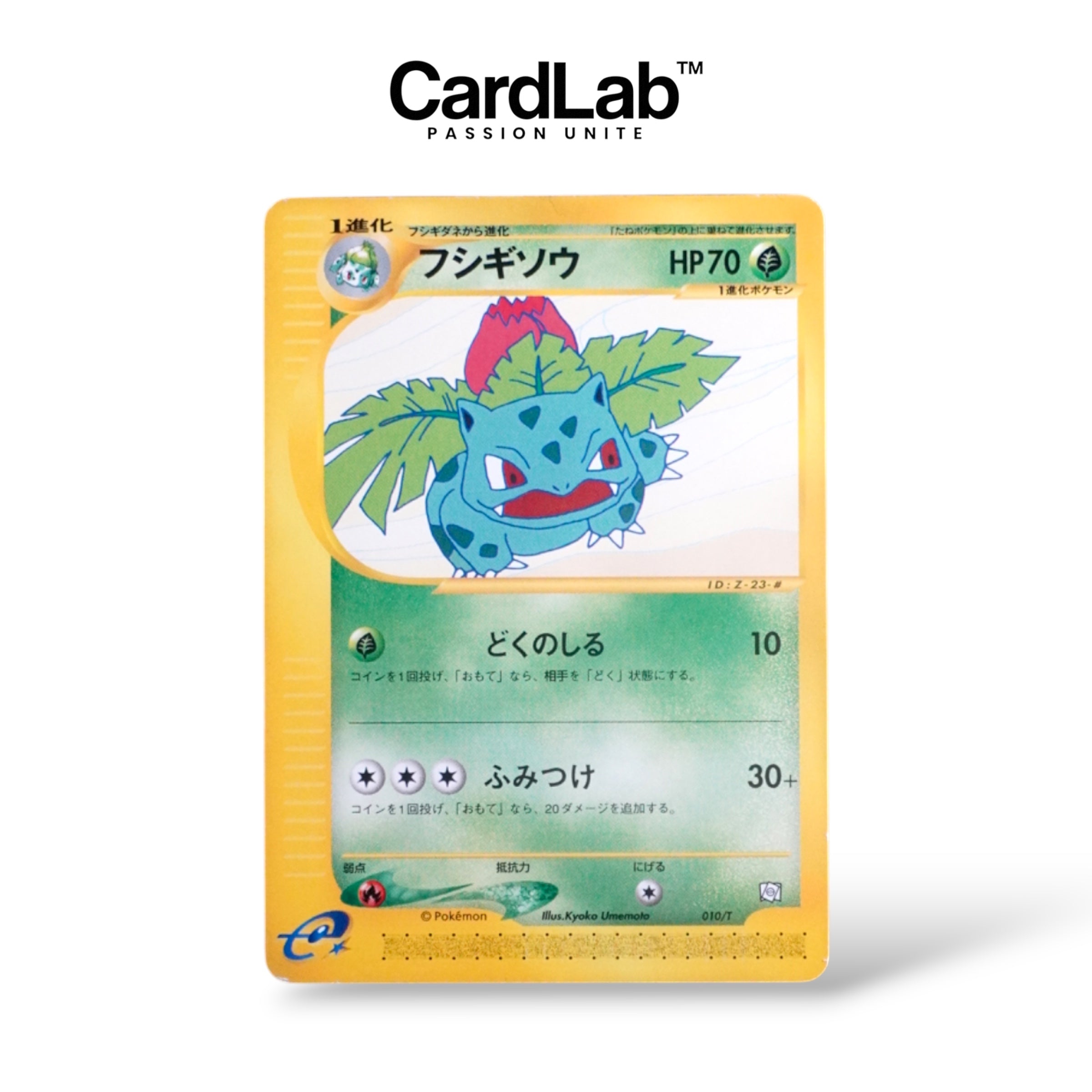 Reptincel / Herbizarre / Carabaffe Trainer Magazine Vol.17