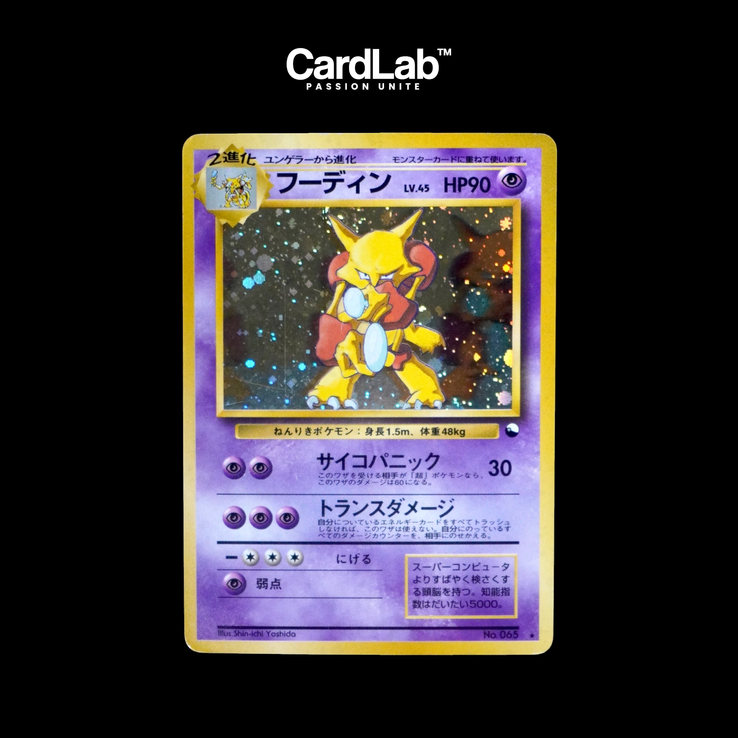 エンペラーズチルドレン コデックス＋データカード　日本語版 Wizard All Japanese – CardLab™