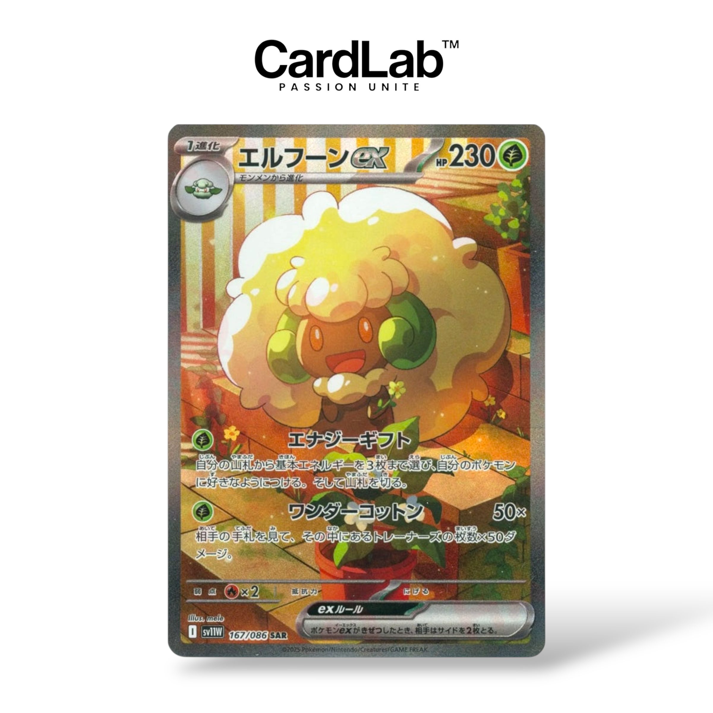 [𝗣𝗥𝗘́𝗖𝗢𝗠𝗠𝗔𝗡𝗗𝗘] Farfaduvet ex SAR 167/086 - SV11W
