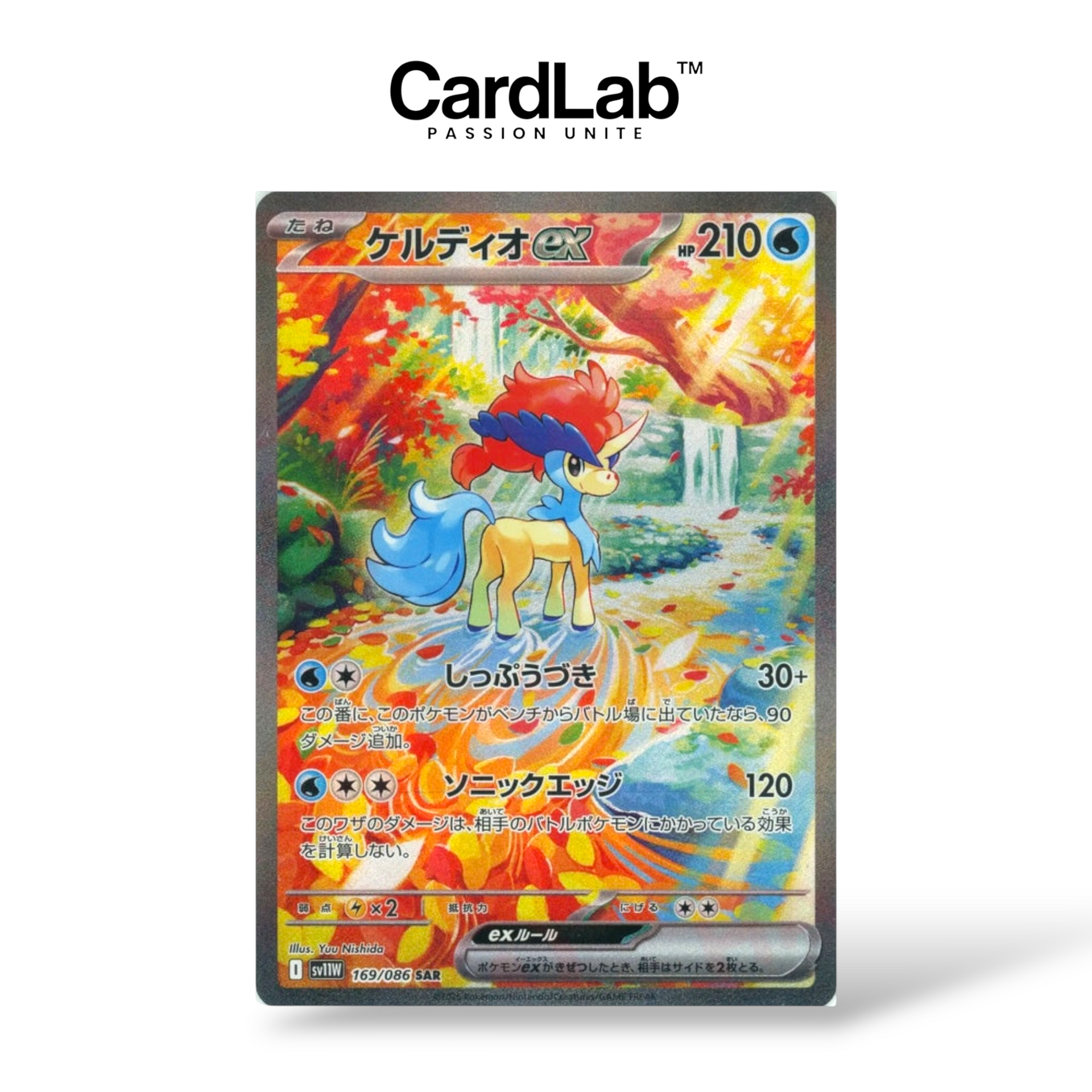 Keldeo ex SAR 169/086 - SV11W – CardLab™