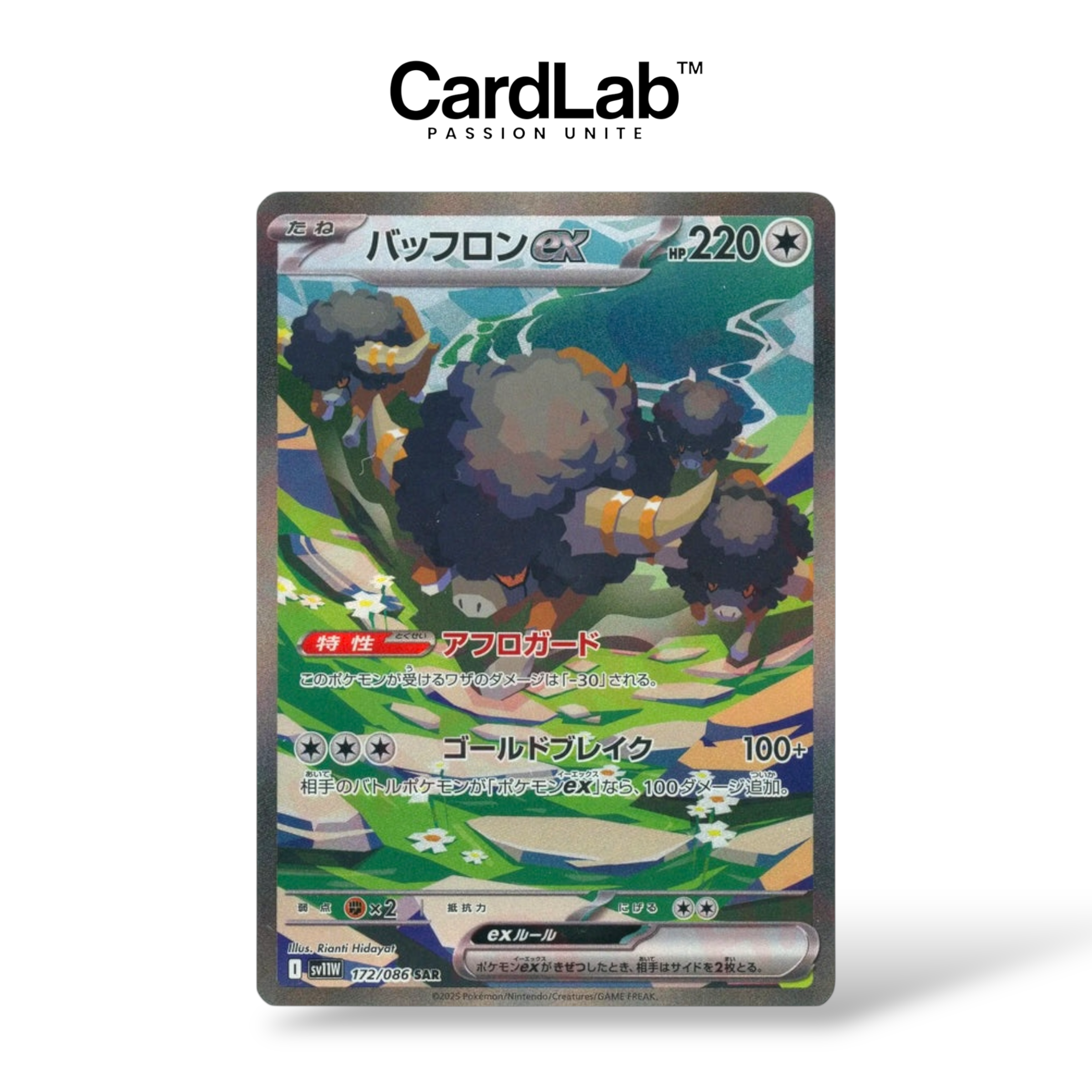 [𝗣𝗥𝗘́𝗖𝗢𝗠𝗠𝗔𝗡𝗗𝗘] Frison ex SAR 172/086 - SV11W