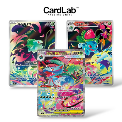 Pokémon Display x1 M1L