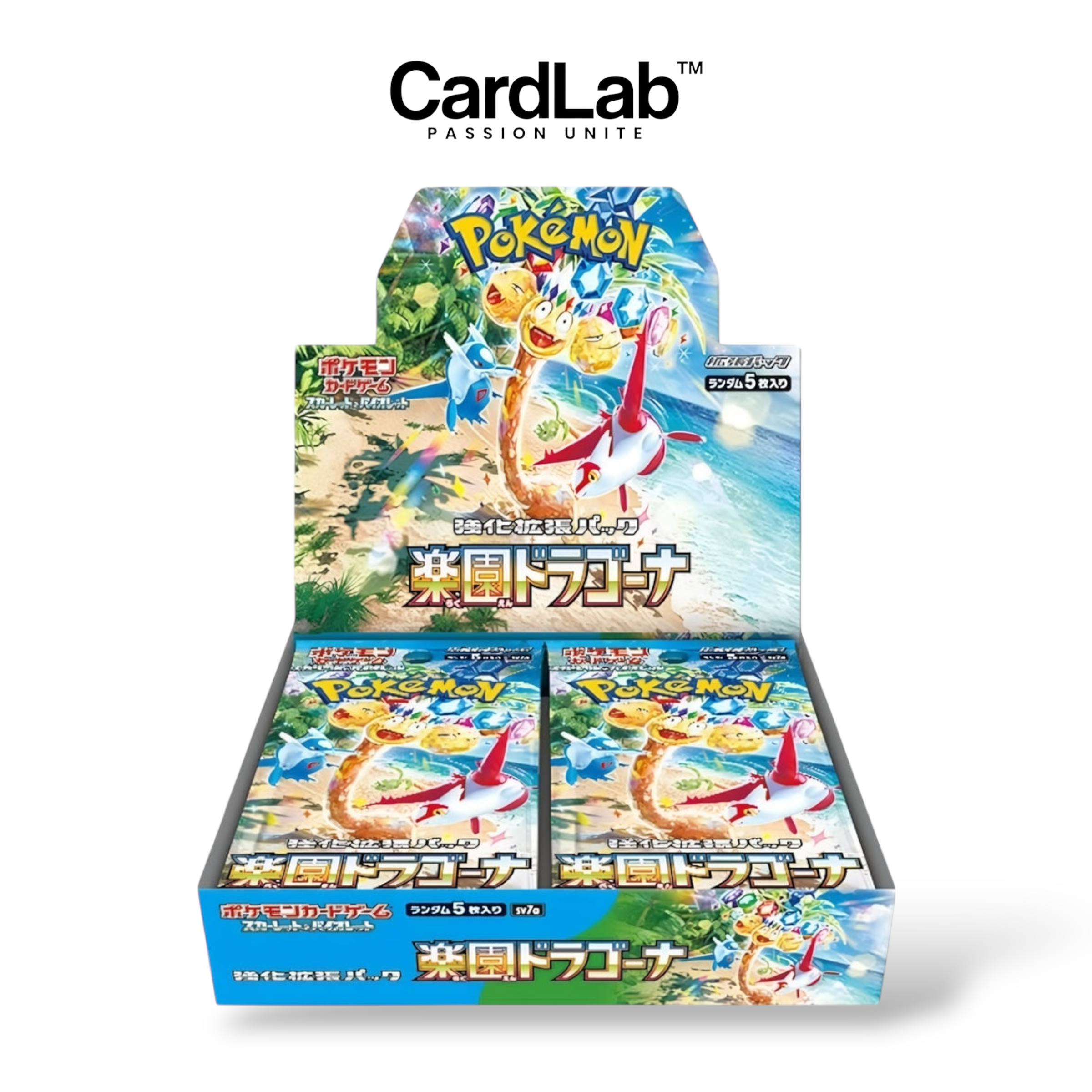Display x1 SV7a "Paradise Dragona" [𝗣𝗿𝗶𝘅 𝗣𝗿𝗲́𝗳𝗲́𝗿𝗲𝗻𝘁𝗶𝗲𝗹𝘀]