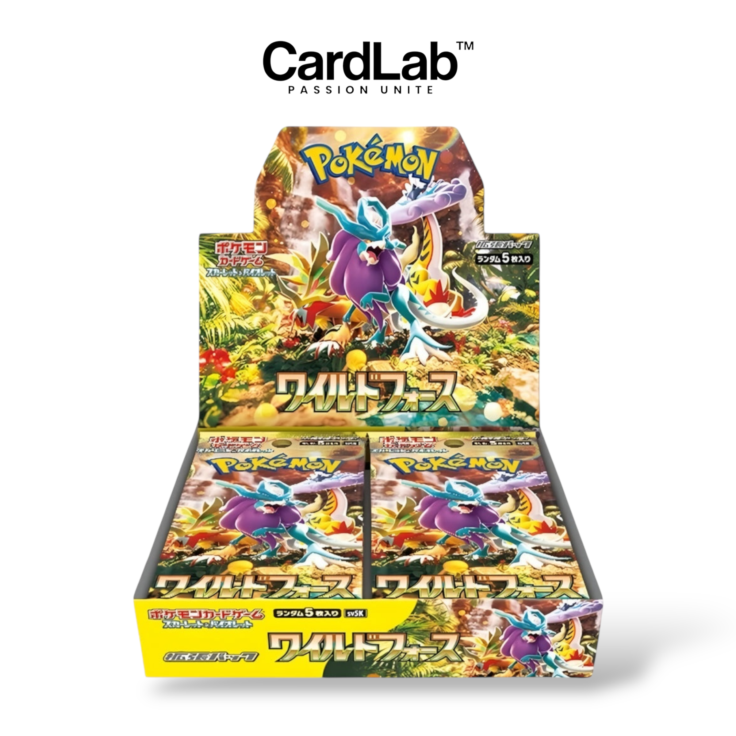 Display x1 SV5K "Wild Force" [𝗣𝗿𝗶𝘅 𝗣𝗿𝗲́𝗳𝗲́𝗿𝗲𝗻𝘁𝗶𝗲𝗹𝘀] - CardLab™
