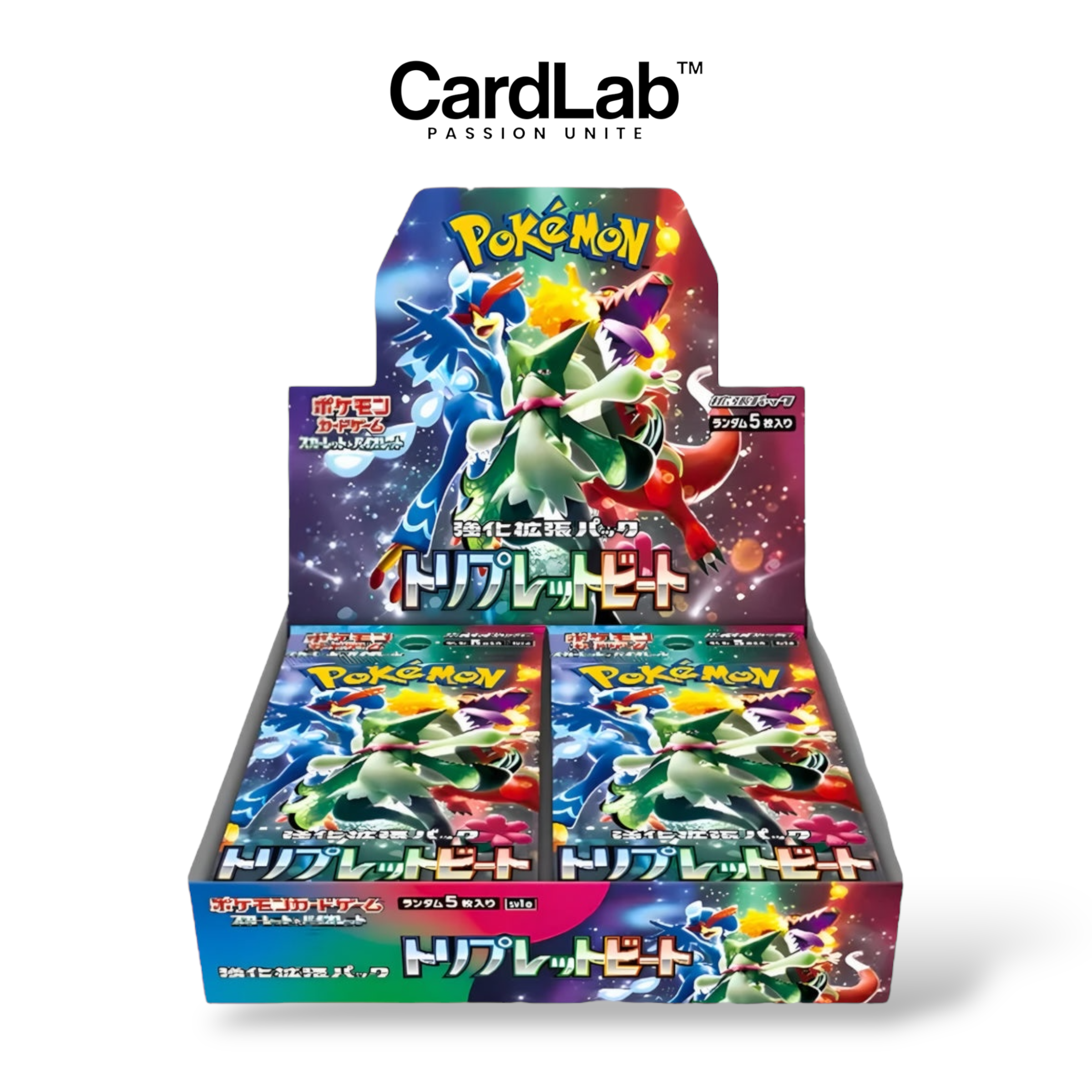 Display x1 SV1a "Triplet Beat" [𝗣𝗿𝗶𝘅 𝗣𝗿𝗲́𝗳𝗲́𝗿𝗲𝗻𝘁𝗶𝗲𝗹𝘀] - CardLab™