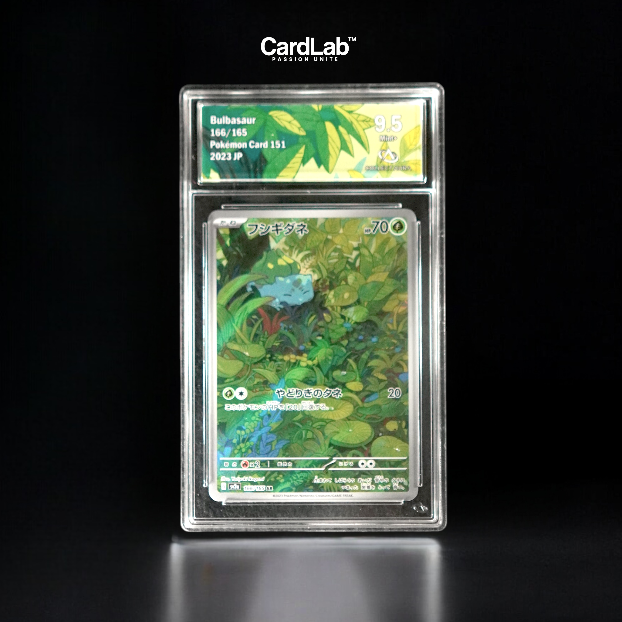 Bulbizarre / Bulbasaur AR 166/165 Collect Aura