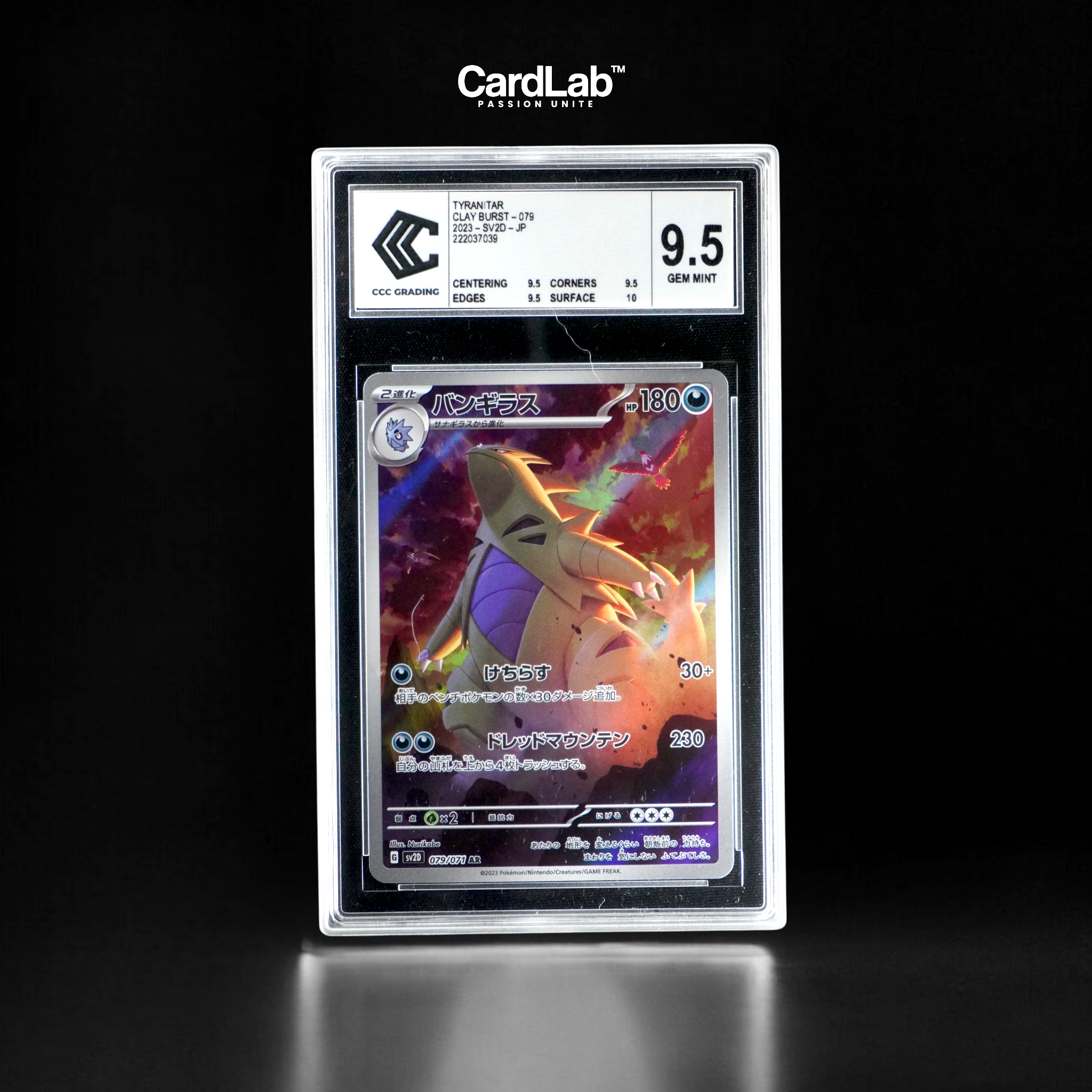 Tyranocif AR 079/071 CCC 9.5