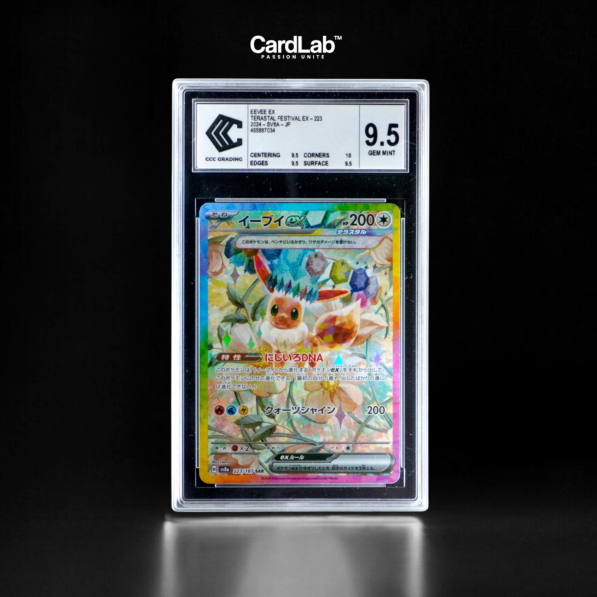 Evoli EX SAR 223/187 CCC 9.5