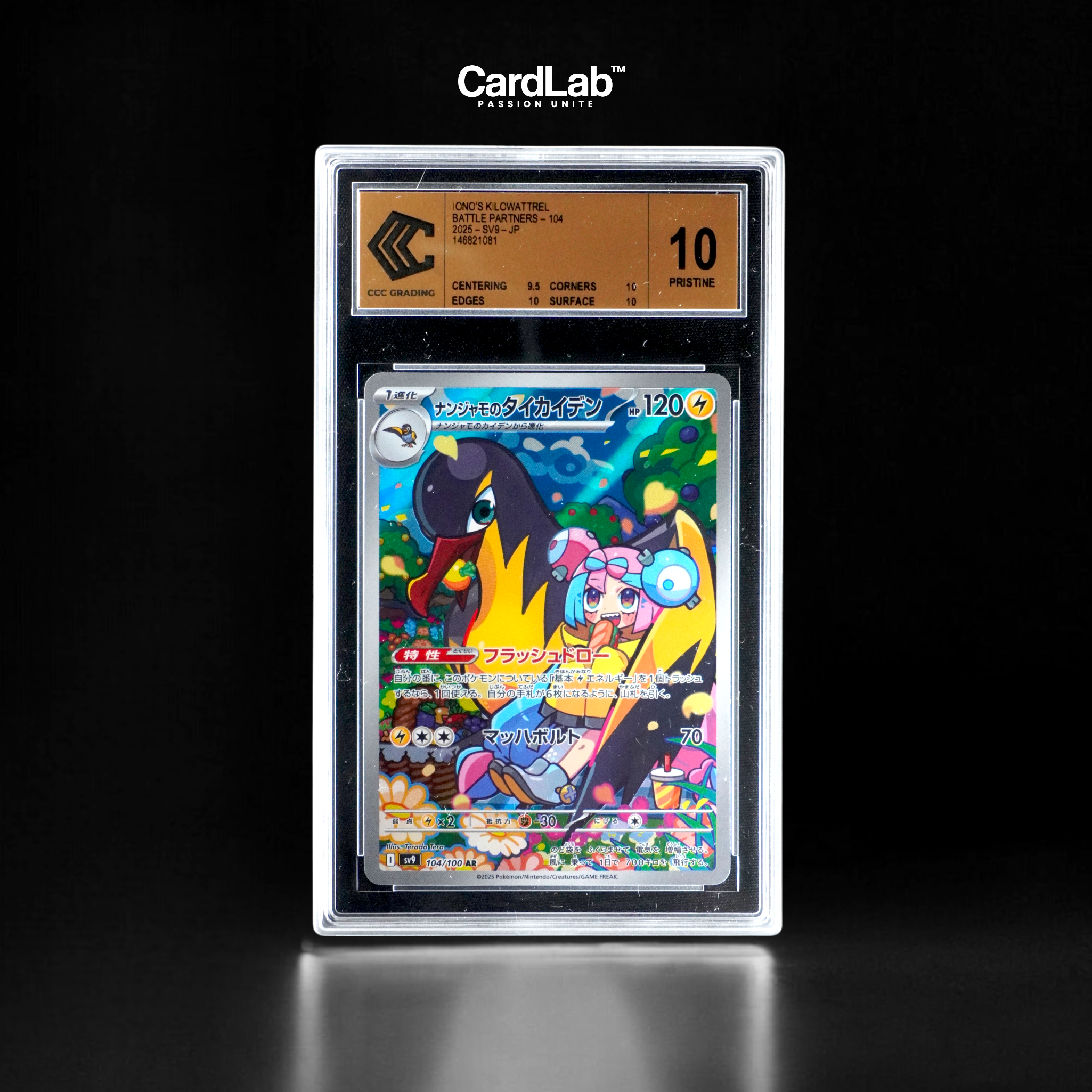 Fulgulairo AR 104/100 CCC 10 GOLD LABEL