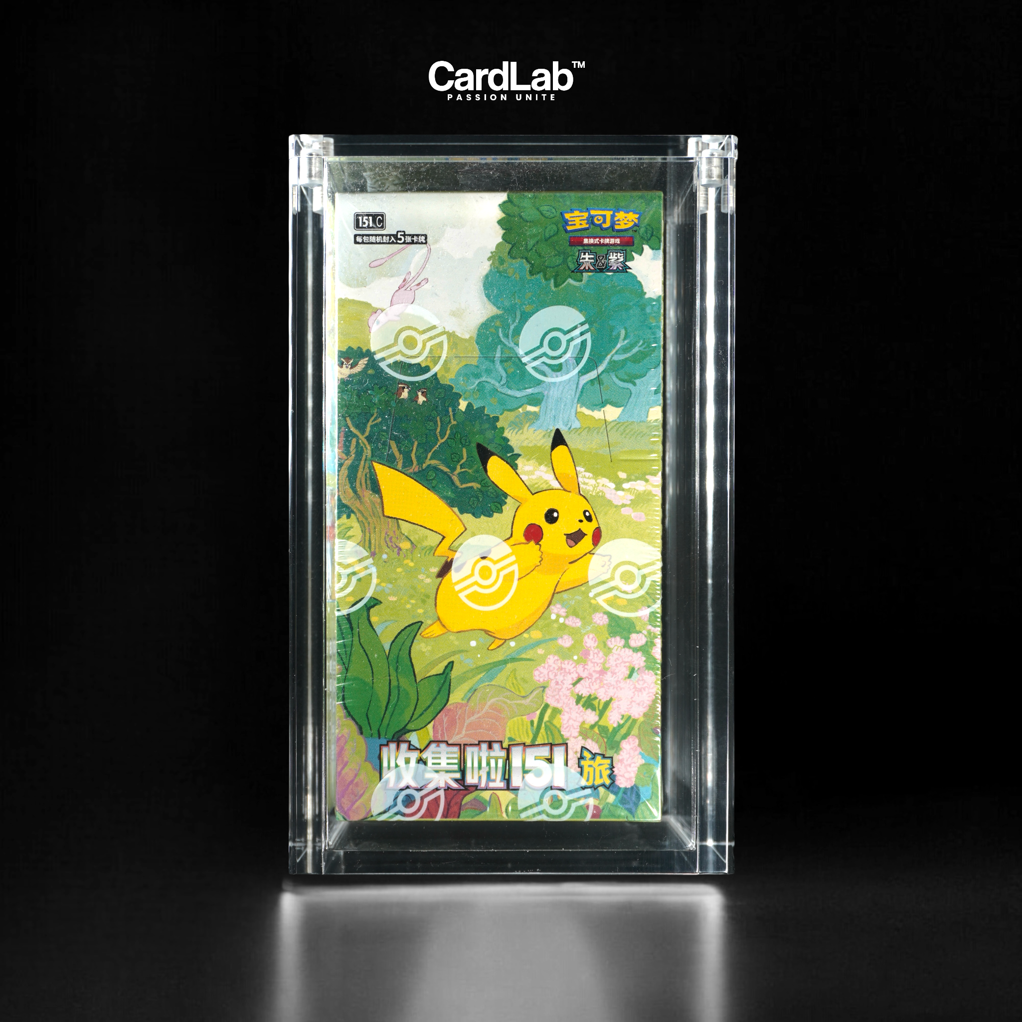 Protection Acrylique x1 DISPLAY JAP/CN